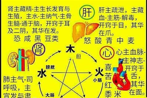 火五行的字|五行属火最吉利的字